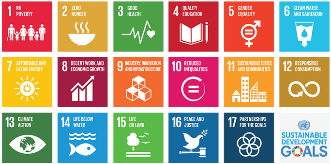 The sustainable development goals as outlined on the United Nations website.